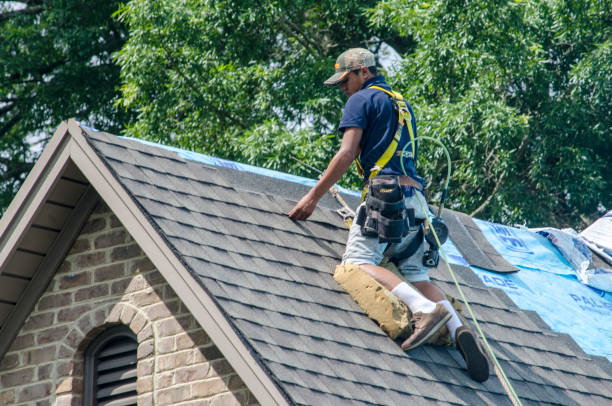 Gutter Installation and Roofing in Alliance, NC